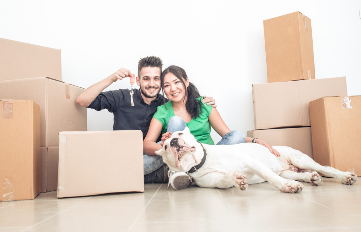 10 Things to Know Before Moving With a Dog