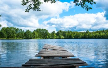 Are you thinking about taking a quick lake trip? Make sure you check out our quick guide for everything you'll need for the perfect lake day.