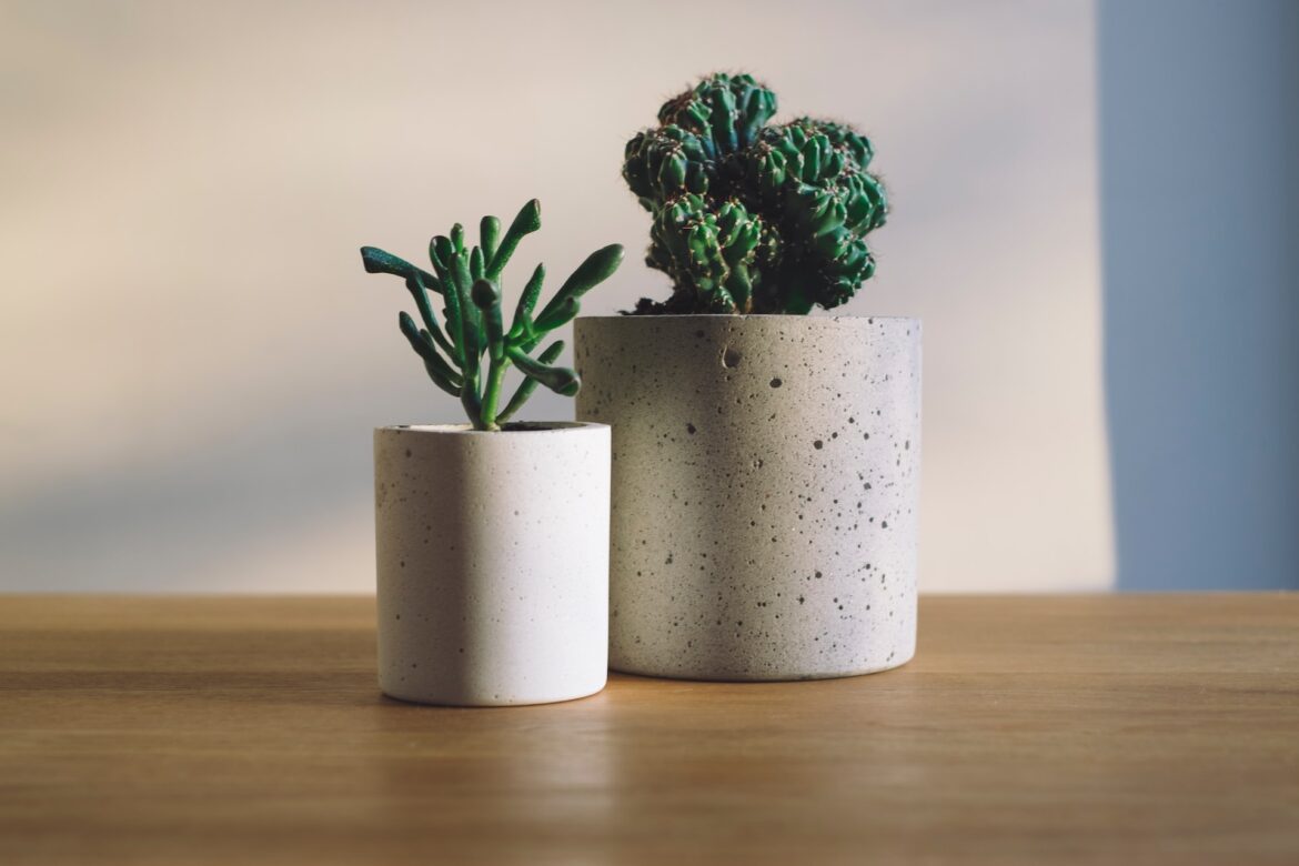 Biology-Inspired Home Decor