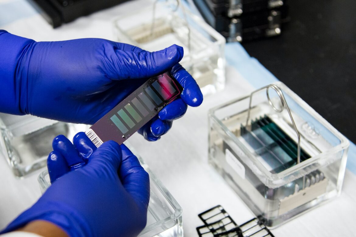 Understanding the Basic Details About Drug Testing