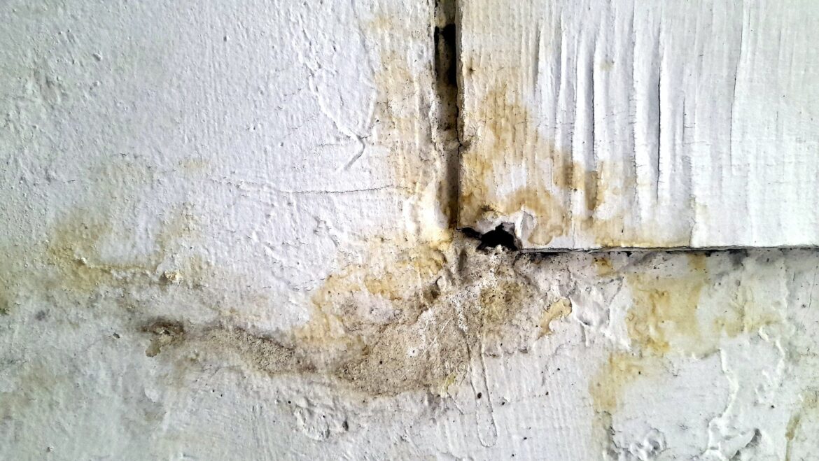 Understanding the Different Types of Drywall Water Damage